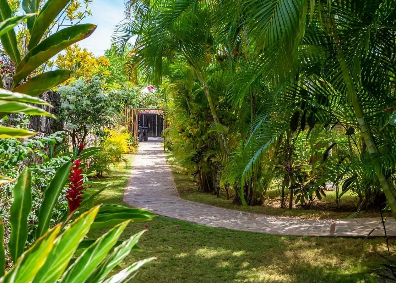 Villa San Lucas 拉斯特拉纳斯 0*,